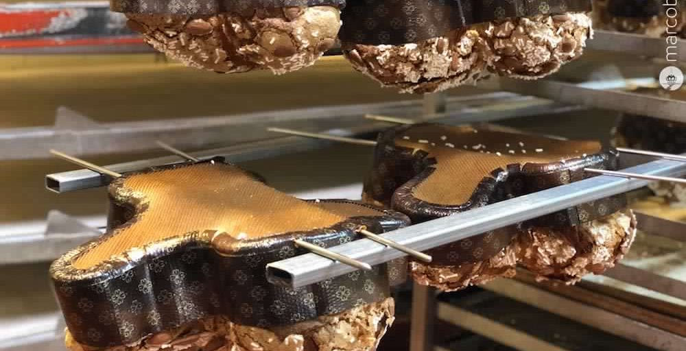 Ecco perché la colomba deve stare per 8 ore a testa in giù